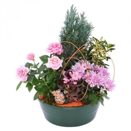 Coupe de plantes