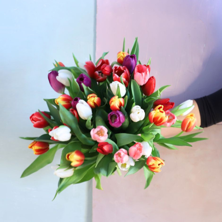 Bouquet de 35 tulipes multicolores