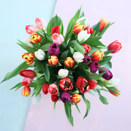 Bouquet de 35 tulipes multicolores